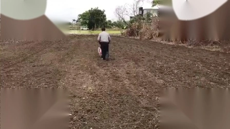 Macchina per seminatrice di arachidi di soia a fila singola con spinta manuale a mano