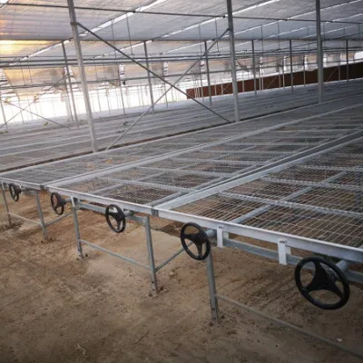 Produzione di cavi di sterzo standard a basso tenore di carbonio personalizzati Prodotti per il giardinaggio per l'orticoltura Xinhe